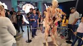 Bodies Evolution: la exitosa exposición con cuerpos reales vuelve a Chile