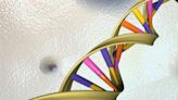 US study uncovers 275 million entirely new genetic variants