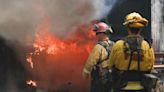 Incendio en California causa daño irreparable a los simbólicos árboles de Josué