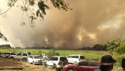 Incendio llega a Bolivia y provoca destrucción de 3.149 has y contaminación ambiental - El Diario - Bolivia