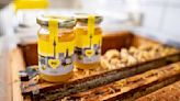 Honey sold in EU must have country of origin listed, members agree