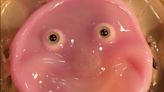 Scientists in Japan Give Robots a Fleshy Face and a Smile