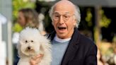 Pretty, pretty final: ‘Curb Your Enthusiasm’ to really wrap with Season 12, premiering in February