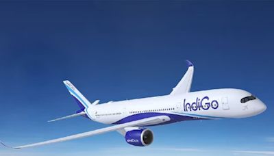 IndiGo Flyers Can Now Book Tickets on WhatsApp! Here's How to Use it - News18