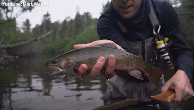 Iron River fly fishing guide shares journey from music industry to trout stream