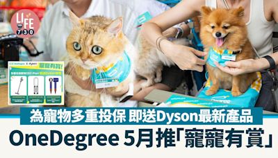 OneDegree 5月推「寵寵有賞」為寵物多重投保 即送Dyson最新產品 | am730