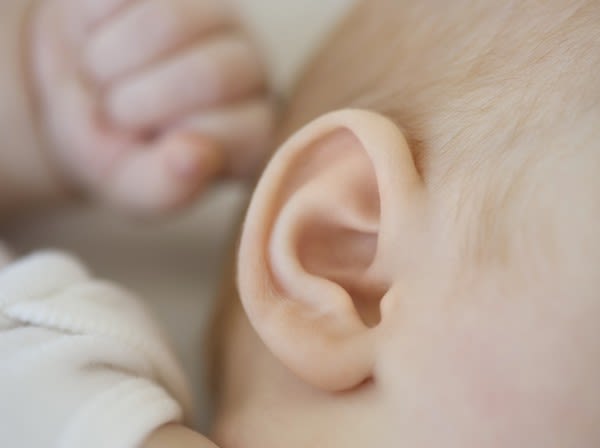 Brain Connectivity Patterns Differ in Infants at F | Newswise