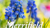 5 spring gardening tips from Merrifield Garden Center