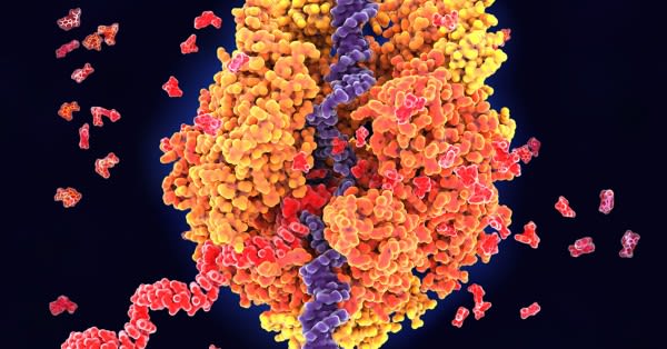 Technique to Study How Proteins Bind to DNA is Eas | Newswise