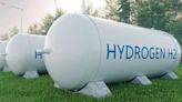 India makes strong pitch for playing pivotal role in global hydrogen economy - ET Auto