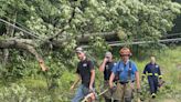 Trees down in Monroe County after Tuesday storm in the Poconos