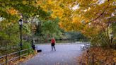 The fall forecast is in and there’s some bad news for fall lovers