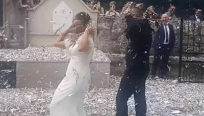 Boda viral en Galicia: así es como una cosechadora provoca una espectacular lluvia de confeti