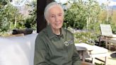 Dr. Jane Goodall on Responsible Animal Tourism — and Her Hope for the Future