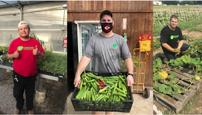 A New Leaf's Blooming Acres client crews harvest over 2,000 pounds of cucumbers