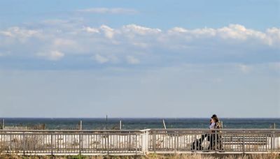 A first look at the new nature preserve by the Rockaway waterfront