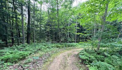 Province orders conservation authorities to drop wetlands mapping plans