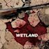 Wetland (film)