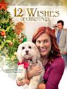 12 Wishes For Christmas