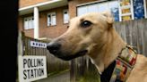 Local elections 2024: The best dogs spotted at polling stations