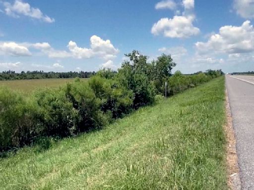 Bebé sobrevive a dos días de temporal antes de ser encontrado en una carretera