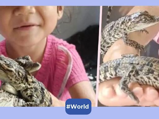 4-year-old Thai girl plays with over 200 baby crocodiles, sparks outrage among netizens