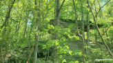 Wilderness hike to Devil's Breakfast Table on Cumberland Trail is May 25