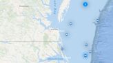 Great white shark pings off coast of Outer Banks