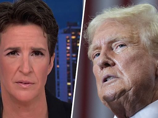 Maddow Blog | Maddow points out frightening truth about Trump's lack of concern about votes