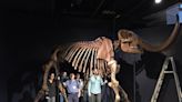 Mastodons, frequently found in Indiana, could become first “national fossil”