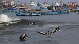 Playas cerradas y puertos a medio gas a un año del derrame de Repsol en Perú