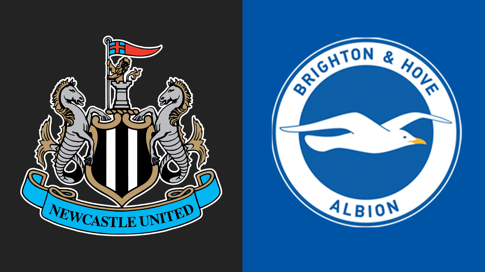 Newcastle v Brighton: Pick of the stats