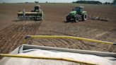 Frente a una menor demanda, el precio de los fertilizantes se mantiene en baja