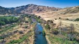 This NorCal lake with an algae problem inspired a swamp rock classic