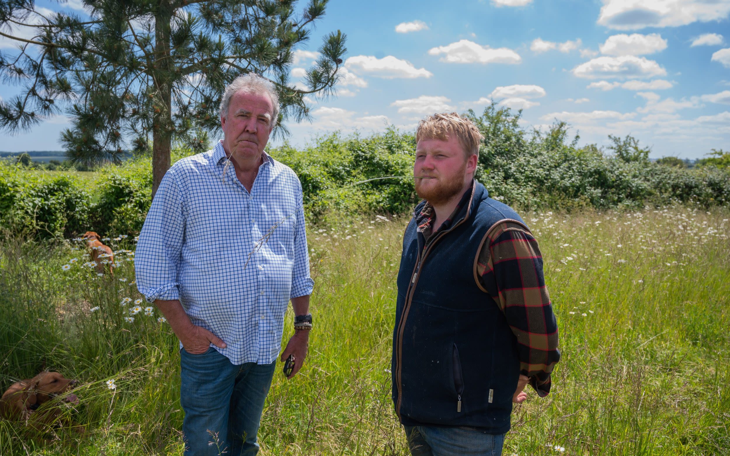 Clarkson says ‘something is afoot’ as butterfly sightings plummet