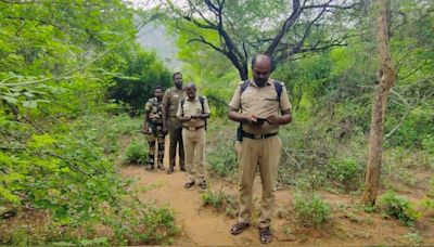 Field survey on biodiversity status begins in Srivilliputtur Meghamalai Tiger Reserve