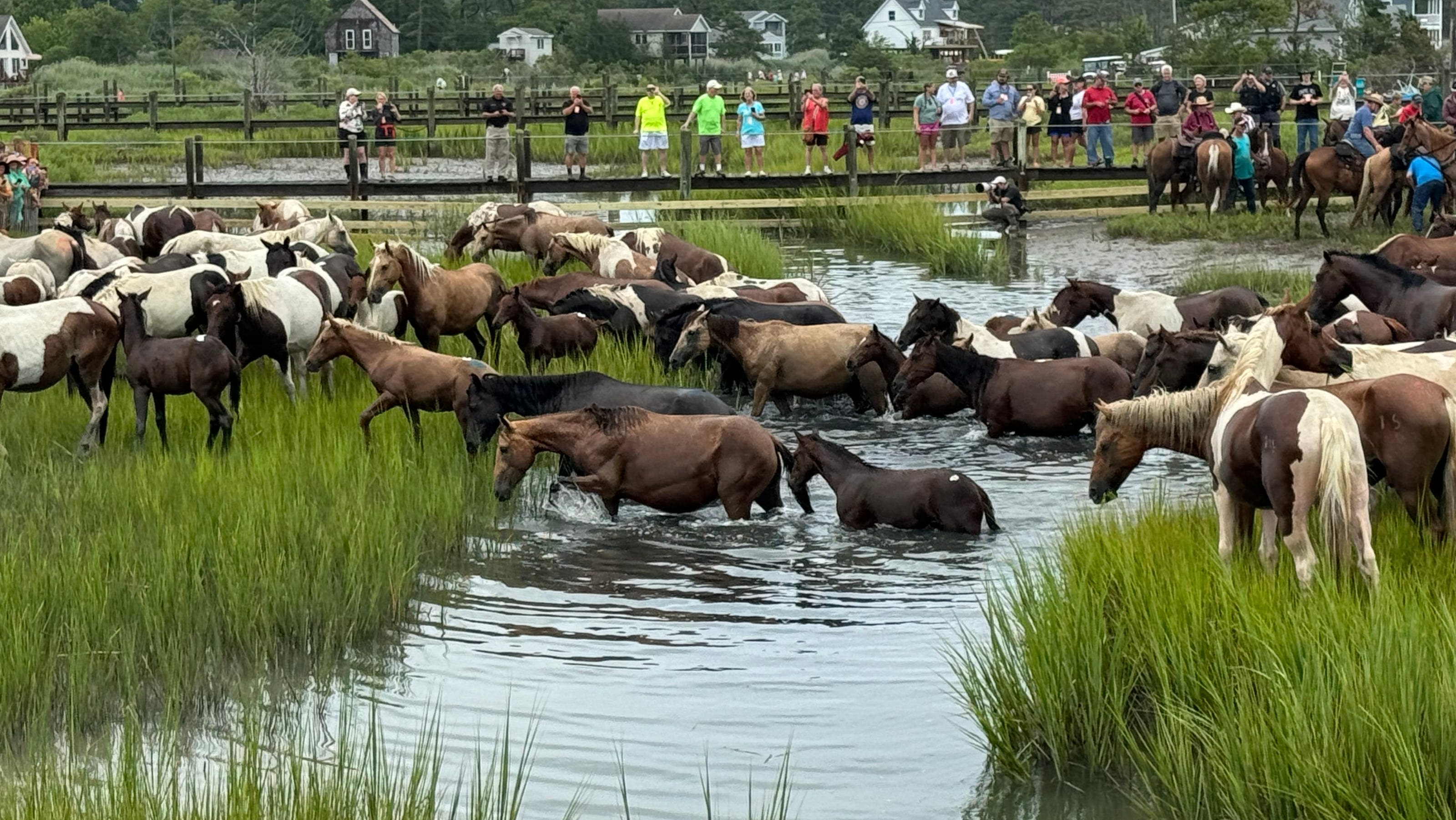 New Queen Neptune crowned at Chincoteague Pony Swim 2024