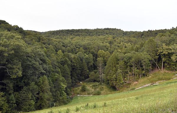 Kentucky manhunt update: Schools closed as police continue hunt for shooter