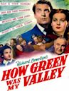 How Green Was My Valley (film)