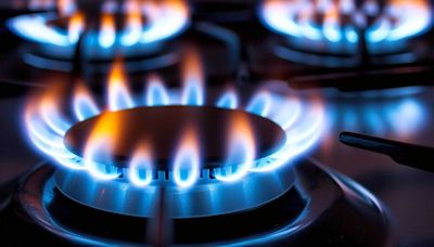 Las facturas de gas llegarán desde este mes con aumentos de hasta 1.000% pese a que se postergó la quita de subsidios