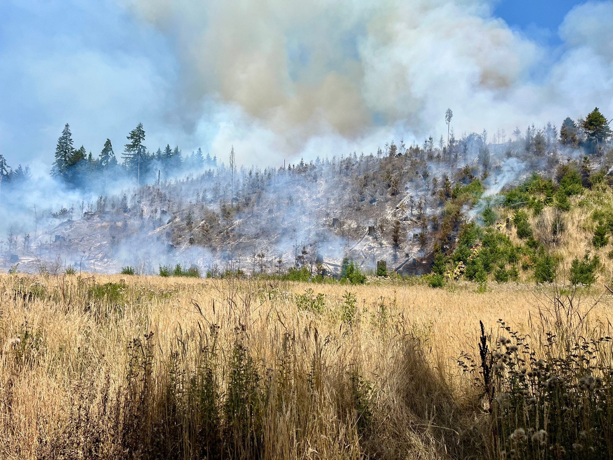 Wildfire at Henry Hagg Lake brings level 3 evacuations