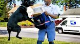 Jacksonville ranks third in U.S. Postal Service dog bites