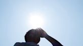 Experts raise concerns after examining widespread health-harming heat stress: 'Took the scientific community by surprise'