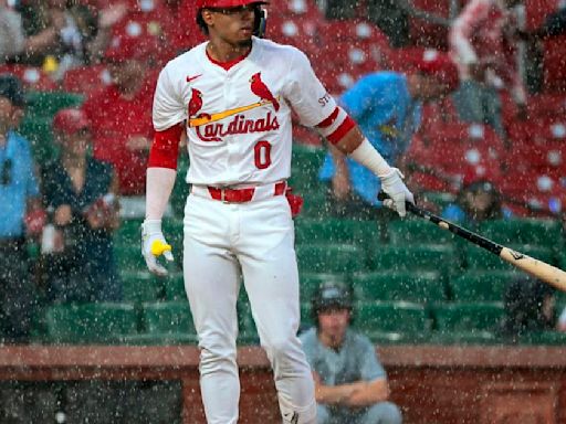 St. Louis Cardinals game vs White Sox delayed with one out to go