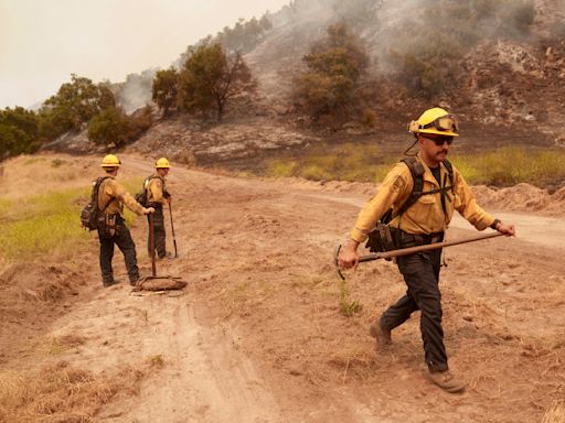 Wildfires and the harm they bring can be minimized