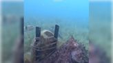 潛水員遇八爪魚帶路 現神秘人工魚礁