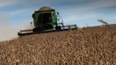 Produção de cereais, leguminosas e oleaginosas deve ter queda de 5% em abril
