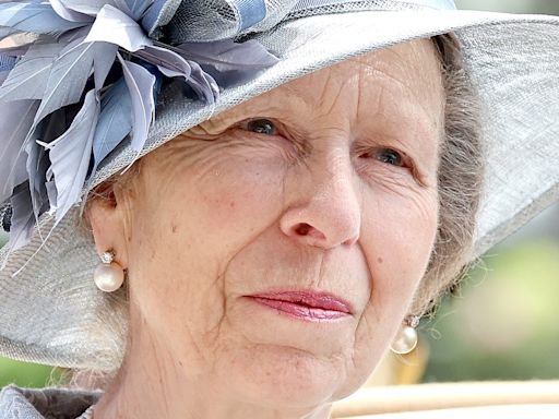 Princess Anne Released From Hospital After Horseback Riding Injury