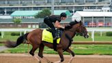 Dornoch a Rarity as Full Brother to KY Derby Winner