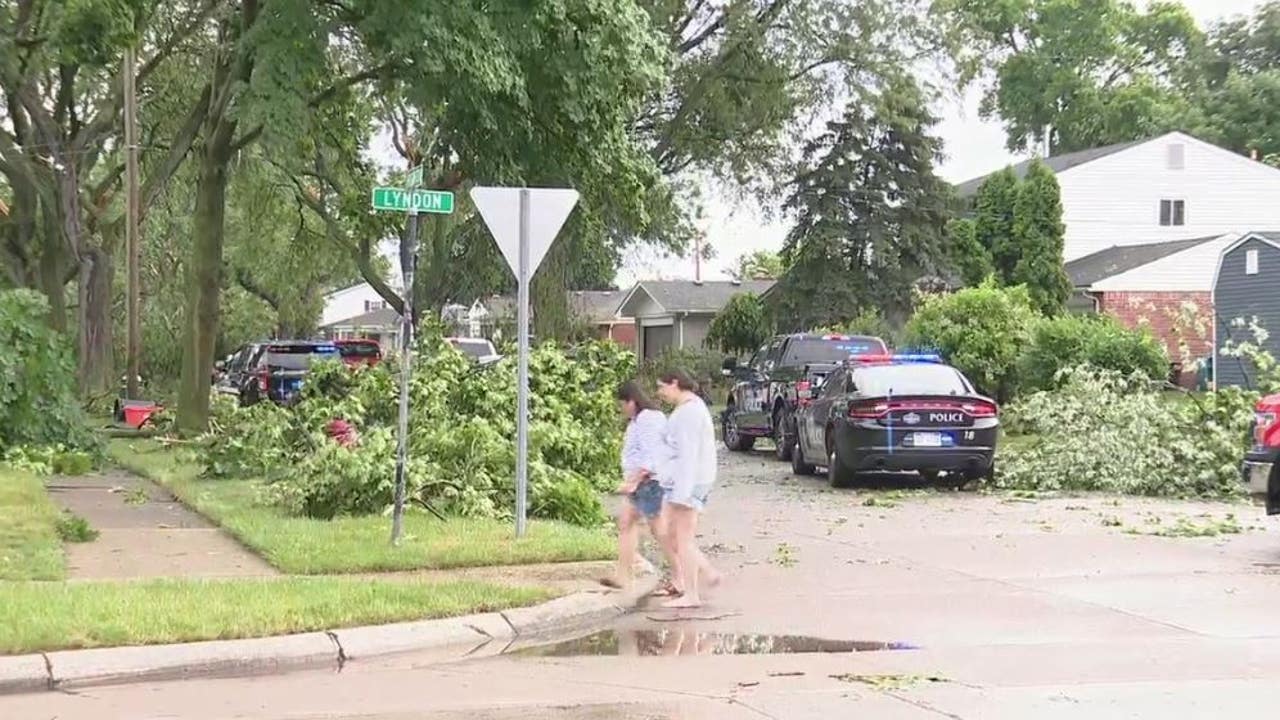 Large tree falls on home in Livonia trapping child amid storm aftermath